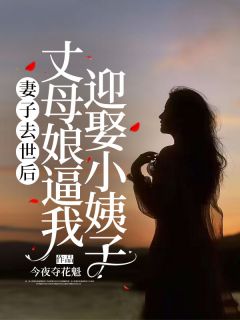 陈正豪袁玲雅by今夜夺花魁 妻子去世后，丈母娘逼我迎娶小姨子小说完整篇在线阅读