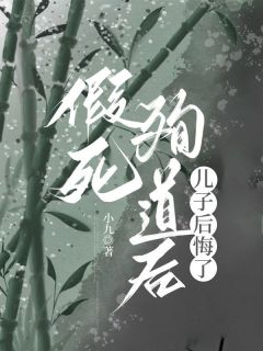 《假死殉道后，儿子后悔了》小说主角月华临渊全文章节免费在线阅读